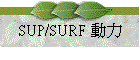 SUP/SURF �ʤO