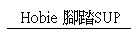 Hobie �}��SUP